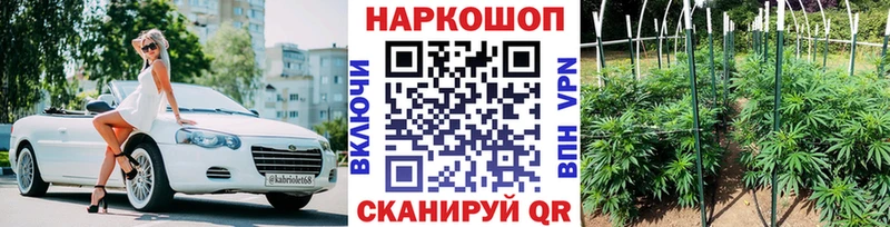Купить закладку Верхняя Пышма А ПВП  Псилоцибиновые грибы  гидра ссылки  Меф 