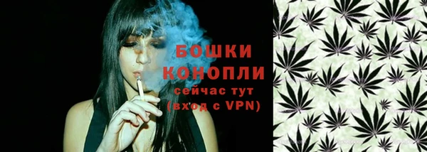 ПСИЛОЦИБИНОВЫЕ ГРИБЫ Балахна