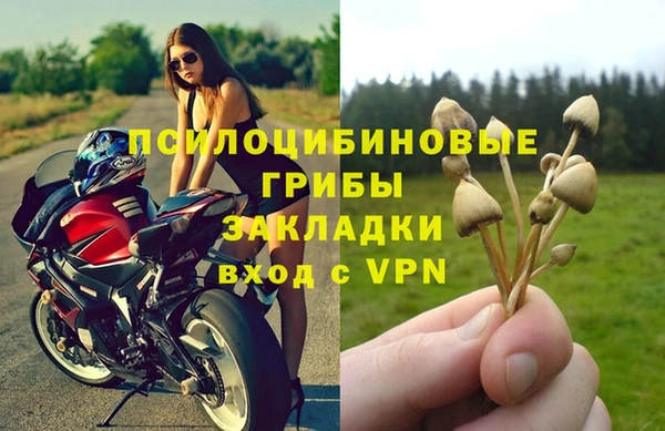 ПСИЛОЦИБИНОВЫЕ ГРИБЫ Балабаново