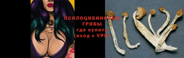 ПСИЛОЦИБИНОВЫЕ ГРИБЫ Балахна