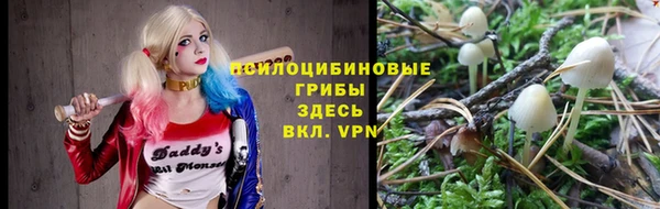 ПСИЛОЦИБИНОВЫЕ ГРИБЫ Балабаново