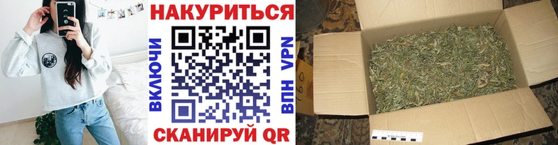 Шишки марихуана Amnesia  Верхняя Пышма 